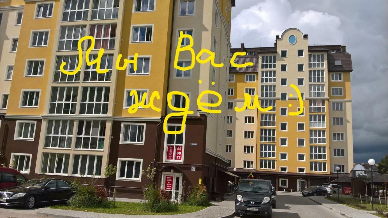 זלנוגרדסק Comfortable Apartment On Potemkina מראה חיצוני תמונה