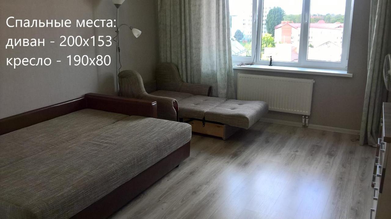 זלנוגרדסק Comfortable Apartment On Potemkina מראה חיצוני תמונה